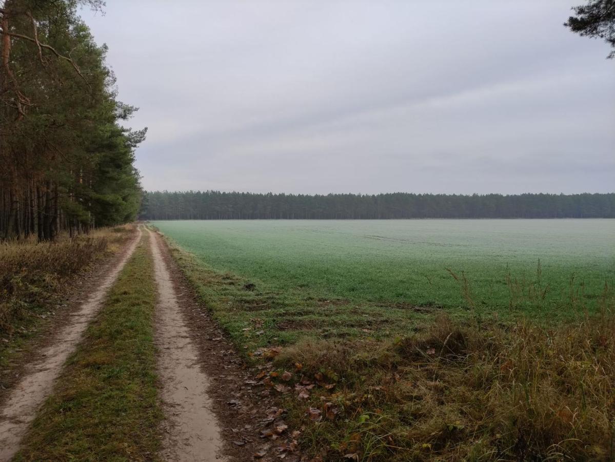 Ferienhaus Erna Doberlug-Kirchhain Екстер'єр фото