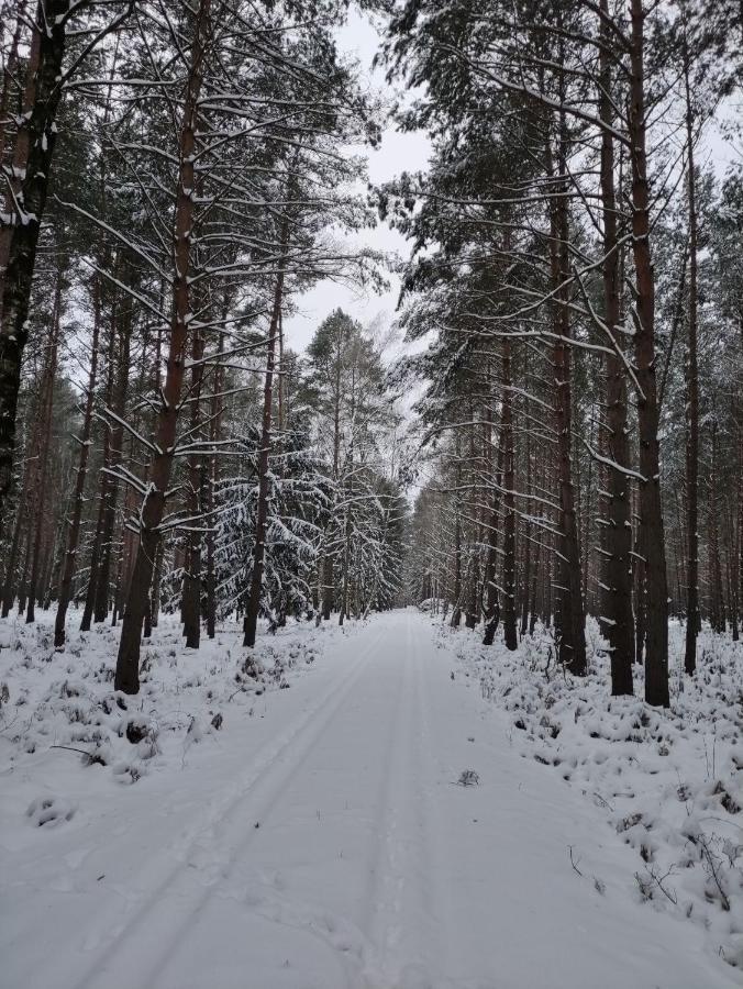Ferienhaus Erna Doberlug-Kirchhain Екстер'єр фото