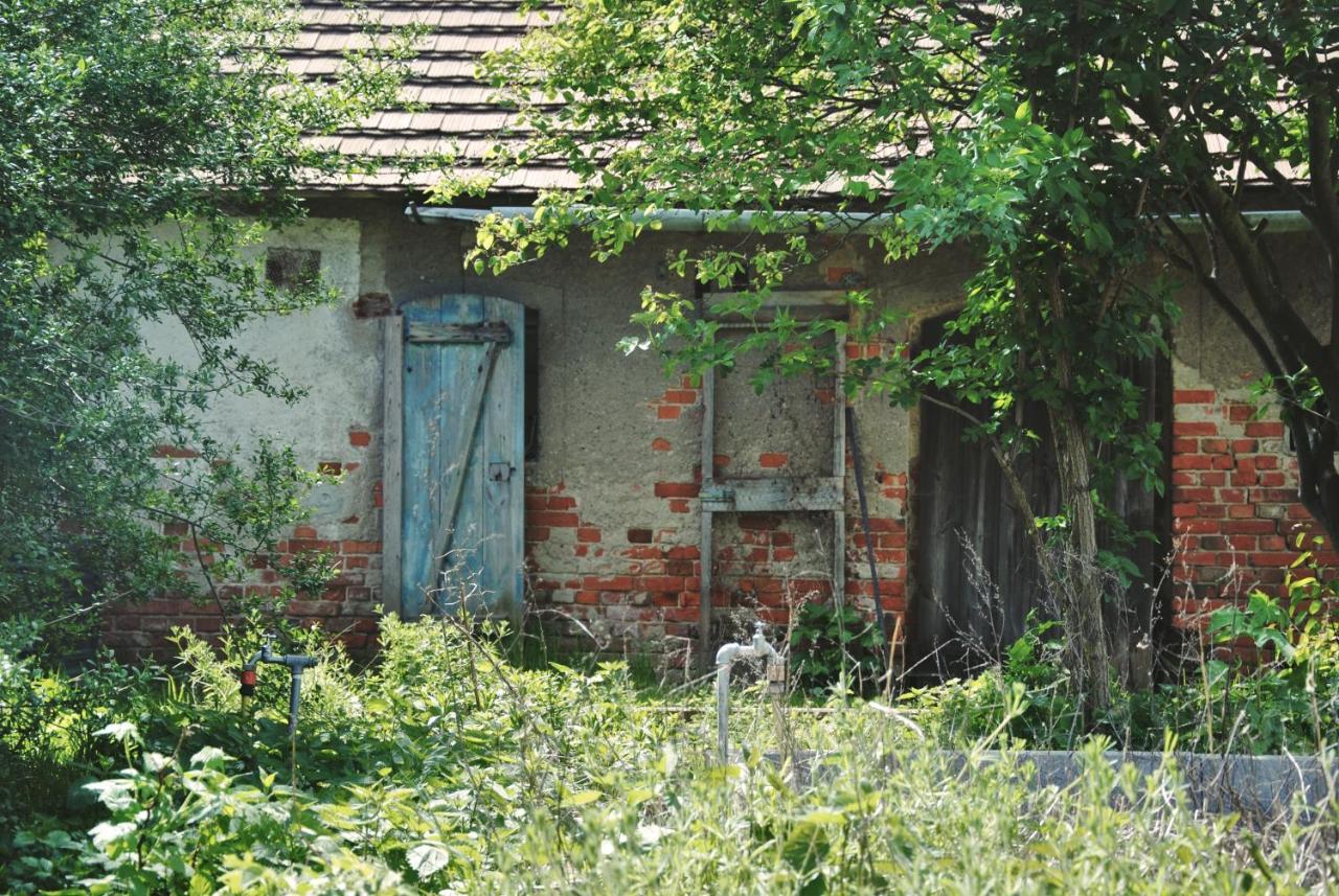 Вілла Ferienhaus Erna Doberlug-Kirchhain Екстер'єр фото