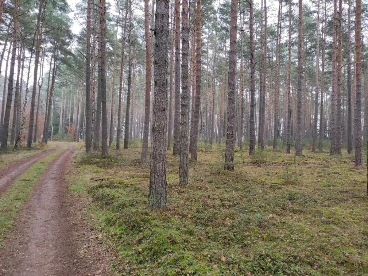 Вілла Ferienhaus Erna Doberlug-Kirchhain Екстер'єр фото