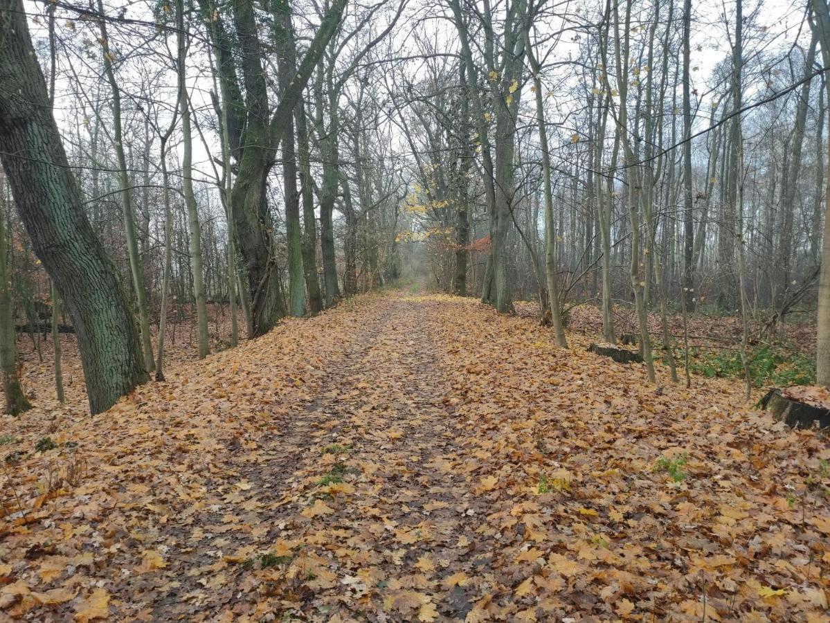 Ferienhaus Erna Doberlug-Kirchhain Екстер'єр фото